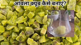 Amla Cube । Amla candy । Amla Candy Recipe