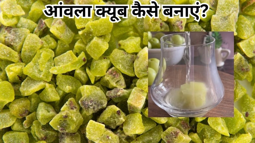 Amla Cube । Amla candy । Amla Candy Recipe