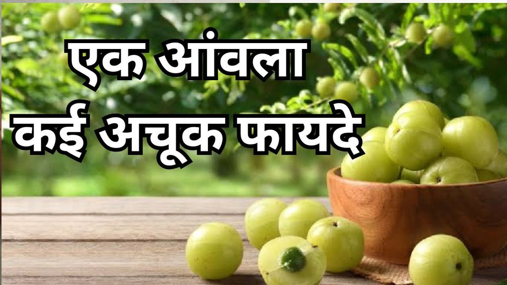 Amla Ke Fayde: आंवला के फायदे