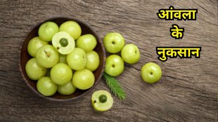 Amla Ke Nuksan: आंवला के नुकसान
