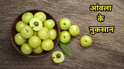 जमकर कर रहे हैं आंवला का सेवन तो हो जाएं सावधान! किडनी-लिवर सहित इन बीमारियों का बढ़ सकता है खतरा