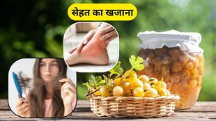 Amla Pickle
