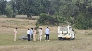 Bandhavgarh, Elephants, Tiger Reserve