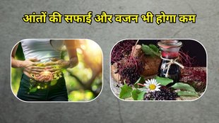 Benefits Of Elderberry Juice: बड़बेरी के जूस के फायदे