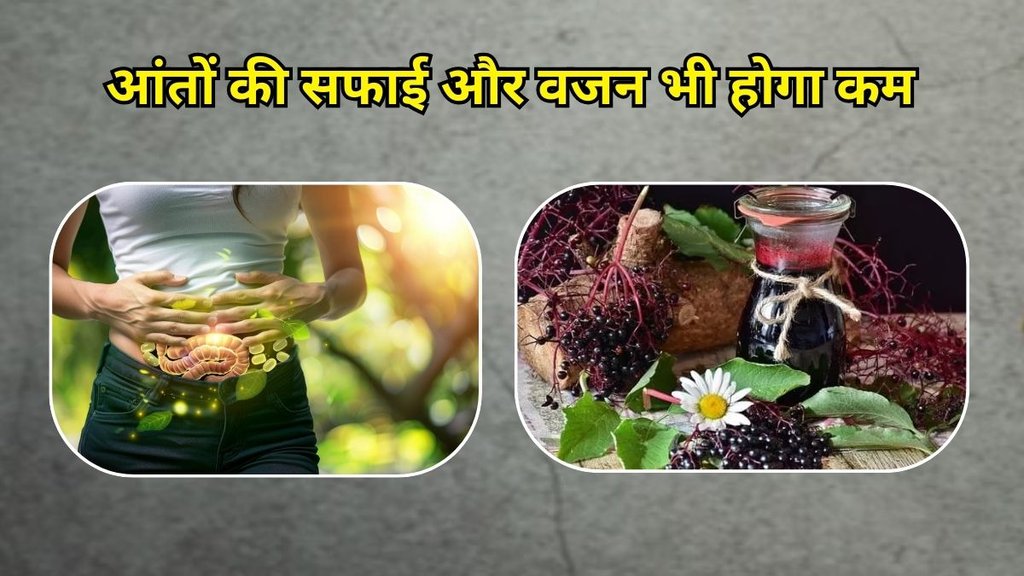 Benefits Of Elderberry Juice: बड़बेरी के जूस के फायदे