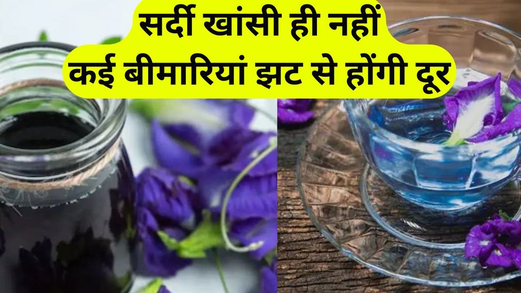 Benefits of Shankhpushpi tea: शंखपुष्पी चाय के फायदे Benefits of Shankhpushpi tea: शंखपुष्पी चाय के फायदे