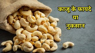 Cashew Benefits And Side Effects: काजू खाने के फायदे और नुकसान