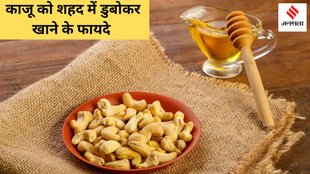 Cashews Honey Benefits । National Cashew Day 2024 । Cashews Honey