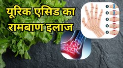 यूरिक एसिड का परमानेंट इलाज है रसोई में इस्तेमाल होने वाली ये एक सब्जी, गठिया का दर्द भी होगा छूमंतर