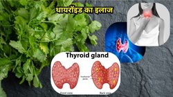 थायरॉइड का जड़ से इलाज करेगा रसोई में रखा ये मसाला, जानिए इसके कमाल के फायदे, बस इस तरह करना होगा इस्तेमाल