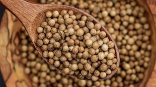 Coriander Seeds Benefits धनिये के बीज के फायदे