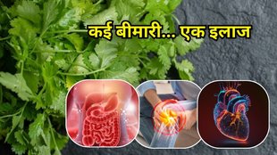 Dhaniya Ke Fayde: धनिया के फायदे