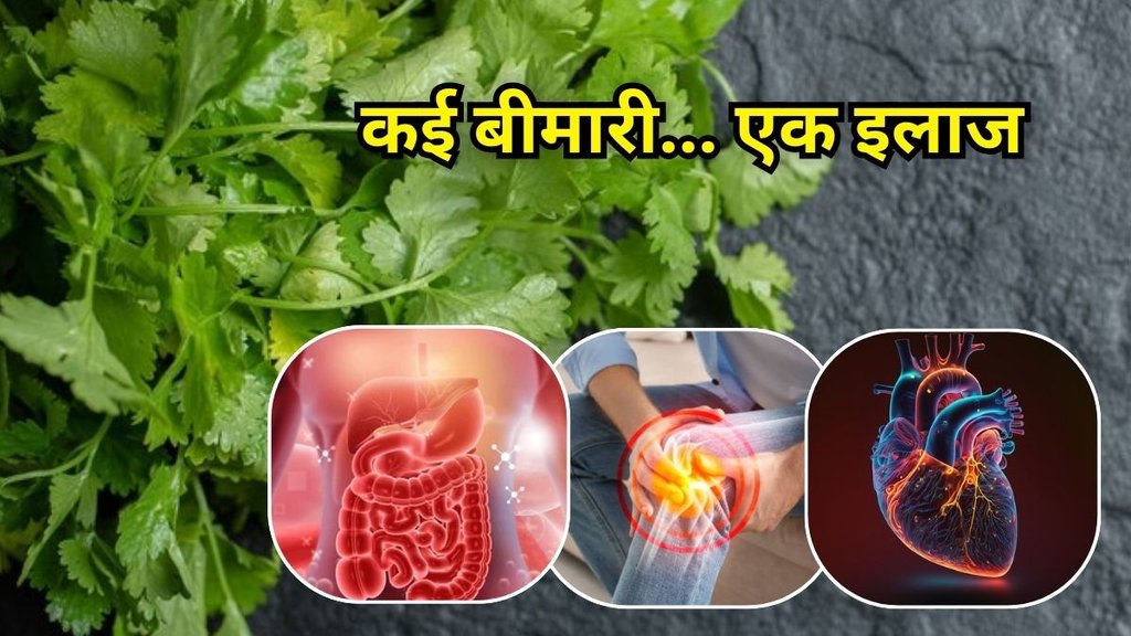 Dhaniya Ke Fayde: धनिया के फायदे