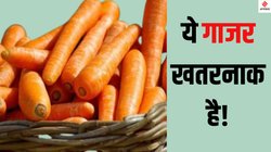 E. coli: अमेरिका में संक्रमित गाजर खाने से एक शख्स की मौत, कई लोग पड़े बीमार, 18 राज्यों से मंगाई गई वापस