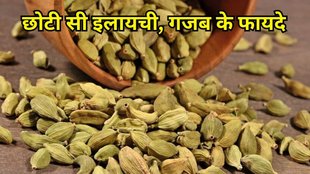 Elaichi Ke Fayde: इलायची के फायदे