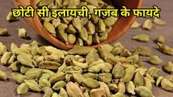 चाय का स्वाद ही नहीं बल्कि शरीर को भी ताकतवर बनाएगी एक छोटी सी इलायची, ऐसे इस्तेमाल करने से मांसपेशियों के दर्द में भी मिलेगी राहत