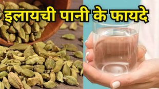 Elaichi Pani Ke Fayde: इलायची पानी के फायदे