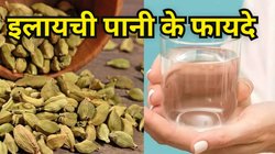 छोटी सी Elaichi … फायदे बड़े-बड़े, स्वास्थ्य के लिए अमृत है इलायची का पानी