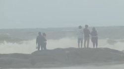 IMD Weather Forecast Today, आज का मौसम 01 दिसंबर LIVE: वायनाड में कल बारिश का रेड अलर्ट, बंद रहेंगे सभी स्कूल और कॉलेज