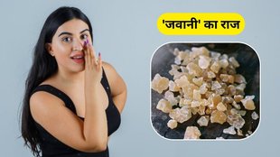 Gond Katira Benefits: गोंद कतीरा के फायदे