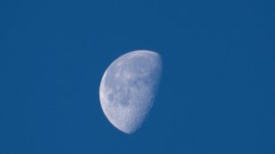 Google Trends | Google Doodle | Half Moon Cycle
