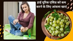 Uric Acid Control: यूरिक एसिड का दुश्मन है आंवला, रोज़ाना एक गिलास Amla जूस पी लीजिए, अंग अंग से चला जाएगा दर्द और सूजन