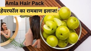 Hair Fall । Amla Hair Pack । Amla Hair Mask