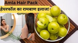 हेयरफॉल का रामबाण इलाज है आंवला, बस इन चीजों को मिलाकर करें स्कैल्प की मालिश; महीनों तक मिलता रहेगा पोषण!