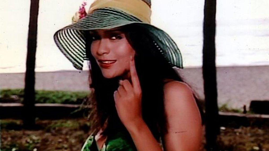 Happy Birthday Zeenat Aman,Zeenat Aman, Zeenat Aman birthday