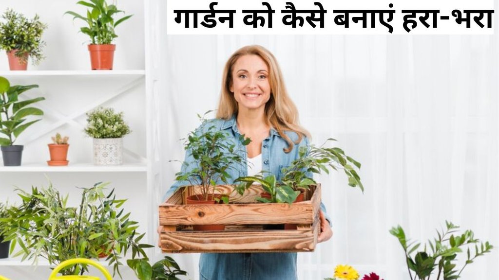 Home Gardening Tips । Best Gardening Tips । Gardening tips and tricks