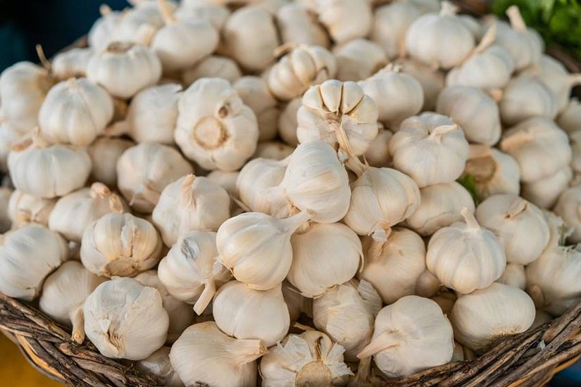 Fake garlic
