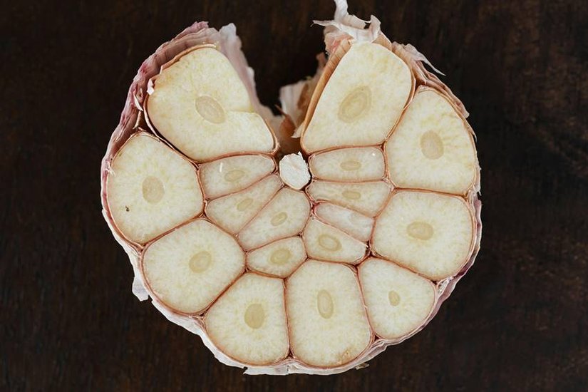original garlic