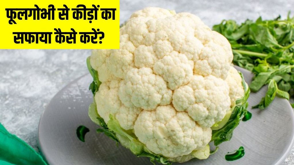 How to remove worms from cabbage । best way to clean cauliflower । best way to clean cabbage