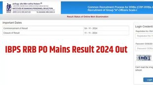 IBPS, RRB PO Mains Result, IBPS Mains result