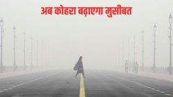 Weather Update: अब कोहरा बढ़ाएगा मुसीबत, IMD ने आपके राज्य को लेकर जताया यह अनुमान