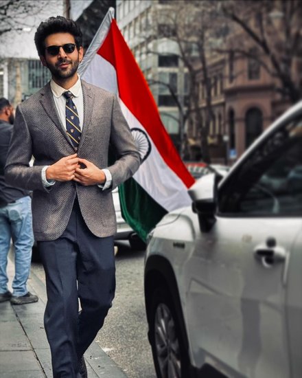 Kartik Aaryan O​nir criticism