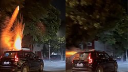 कार की छत को बना दिया रॉकेट लॉन्चर, रील बनाने की ऐसी दीवानगी कि जान की परवाह नहीं, वायरल वीडियो देख सिर पकड़ लेंगे