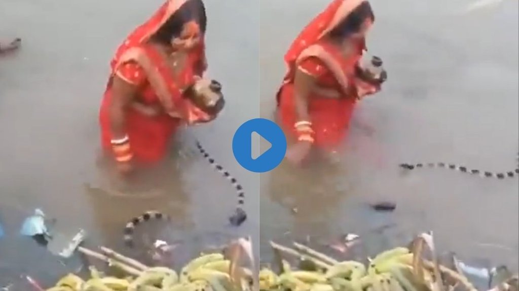 Chhath Puja| Snake on chhath Ghaat| Viral Video