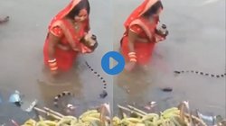 VIDEO: छठ की पूजा के लिए पानी में खड़ी महिला के पास आया सांप, इसके बाद जो हुआ… लोग हुए हैरान