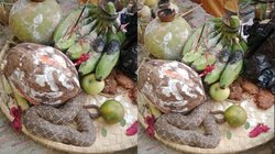 VIDEO: छठ पूजा के प्रसाद से भरे सूप में छिप कर बैठा था सांप, अचानक पड़ी लोगों की नजर, फिर जो हुआ…