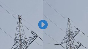 Noida| Noida Man climbed on Poll| Noida Khambe par chada Shakhs