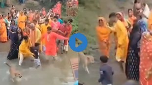 dog on chhath ghaat| Chhath ghaat par kutta| Chhath Puja