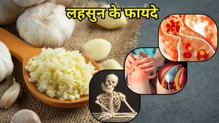 Lahsun Ke Fayde: लहसुन के फायदे