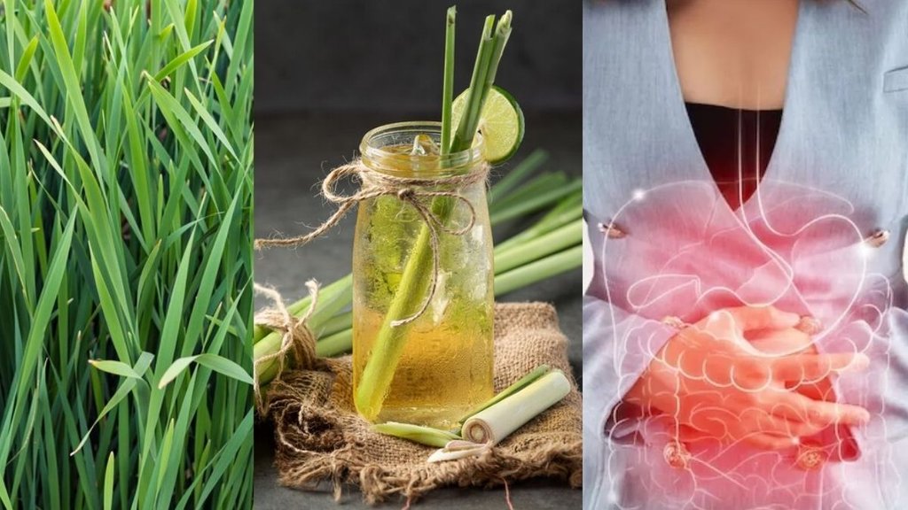 Lemon Grass Benefits: लेमनग्रास टी के फायदे