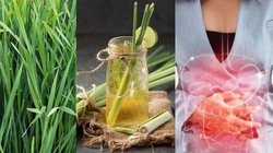 Lemon Grass Benefits: आंतों की गंदगी होगी साफ, वजन कम करने में भी फायदेमंद है ये घास, बस चाय की तरह करें इस्तेमाल