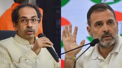 इंडिया गठबंधन के दलों ने एक दूसरे का सहयोग नहीं किया इसलिए मिली ऐसी हार, कांग्रेस नेता का बयान