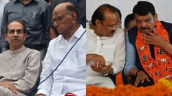 महायुति या MVA में किसको मिलेगा फायदा? महाराष्ट्र में 30 साल बाद हुई रिकॉर्ड वोटिंग के क्या हैं मायने