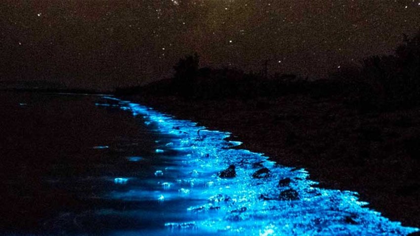 Mattu-Padukere Beaches, Karnataka