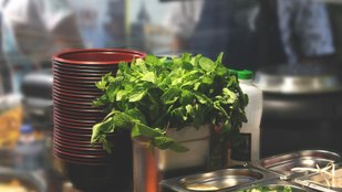 Menthol benefits in mint tea