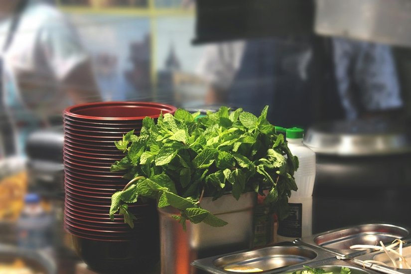 Mint tea health benefits